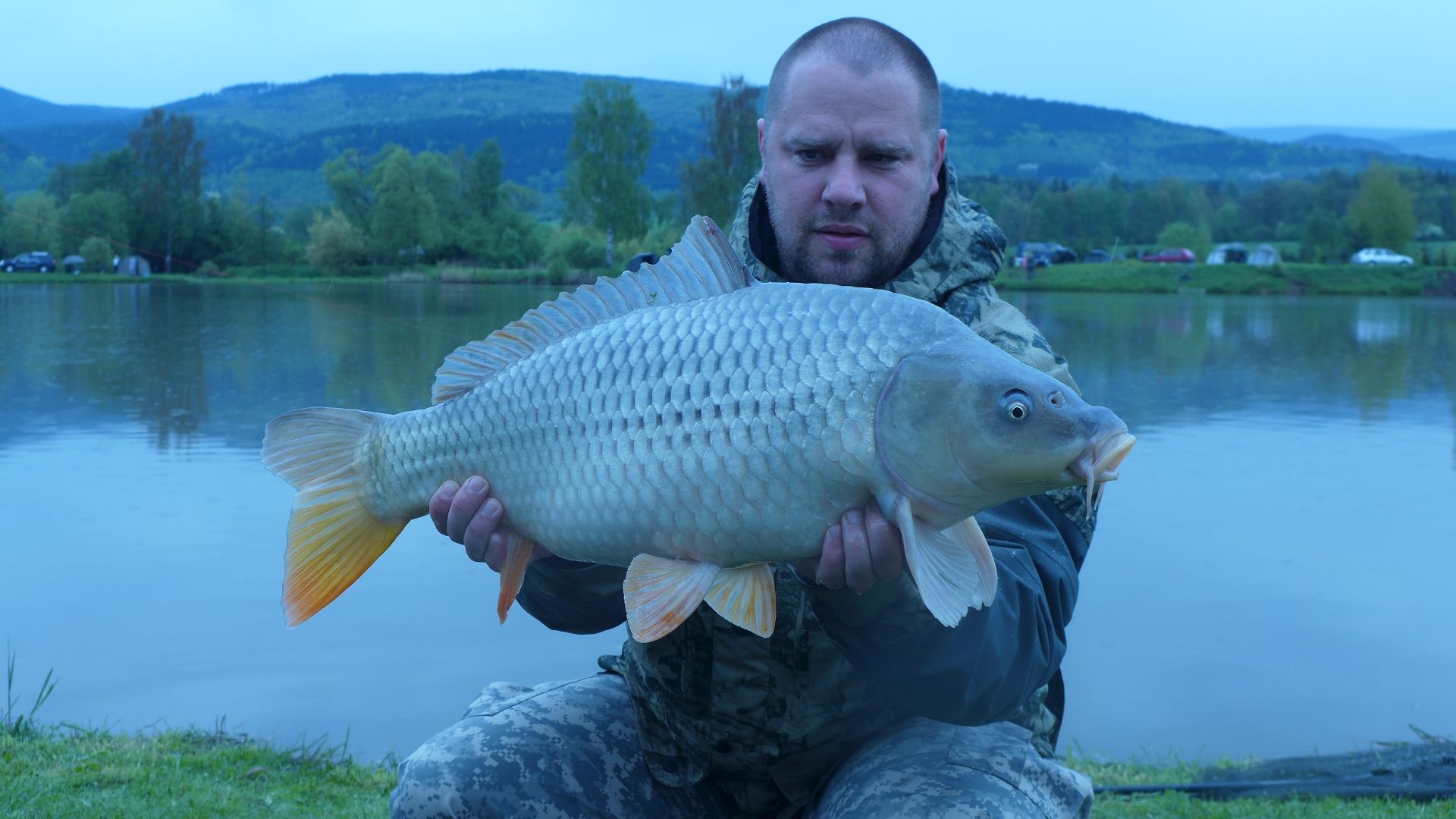 Kapřík na PopUp MikBaits Švestka