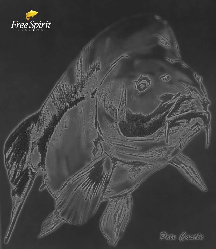Free Spirit
