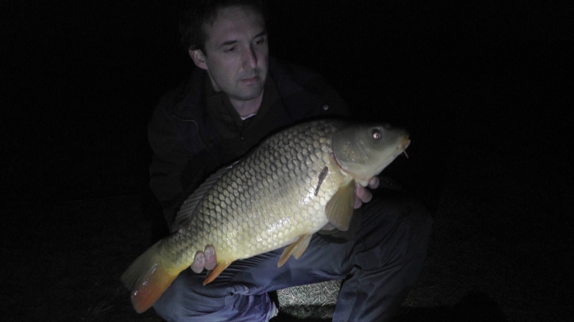 Lubošův šupík MikBaits pikantní švestka