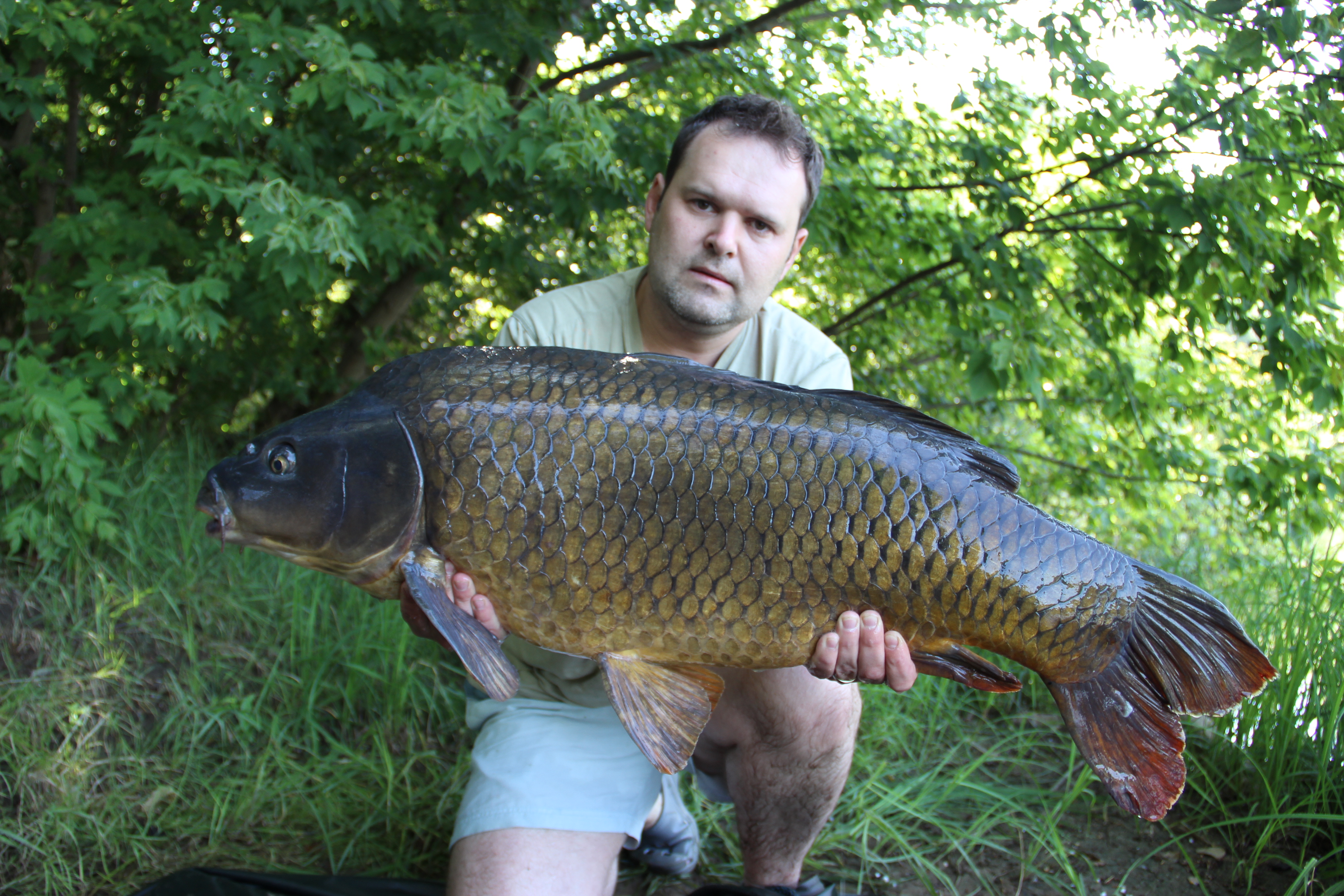 Mikšákuv krasavec z revíru kde si ryb váží 96cm/15kg