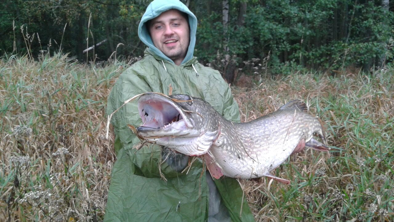 skoro Patrikovo krokodýl 105cm 15kg