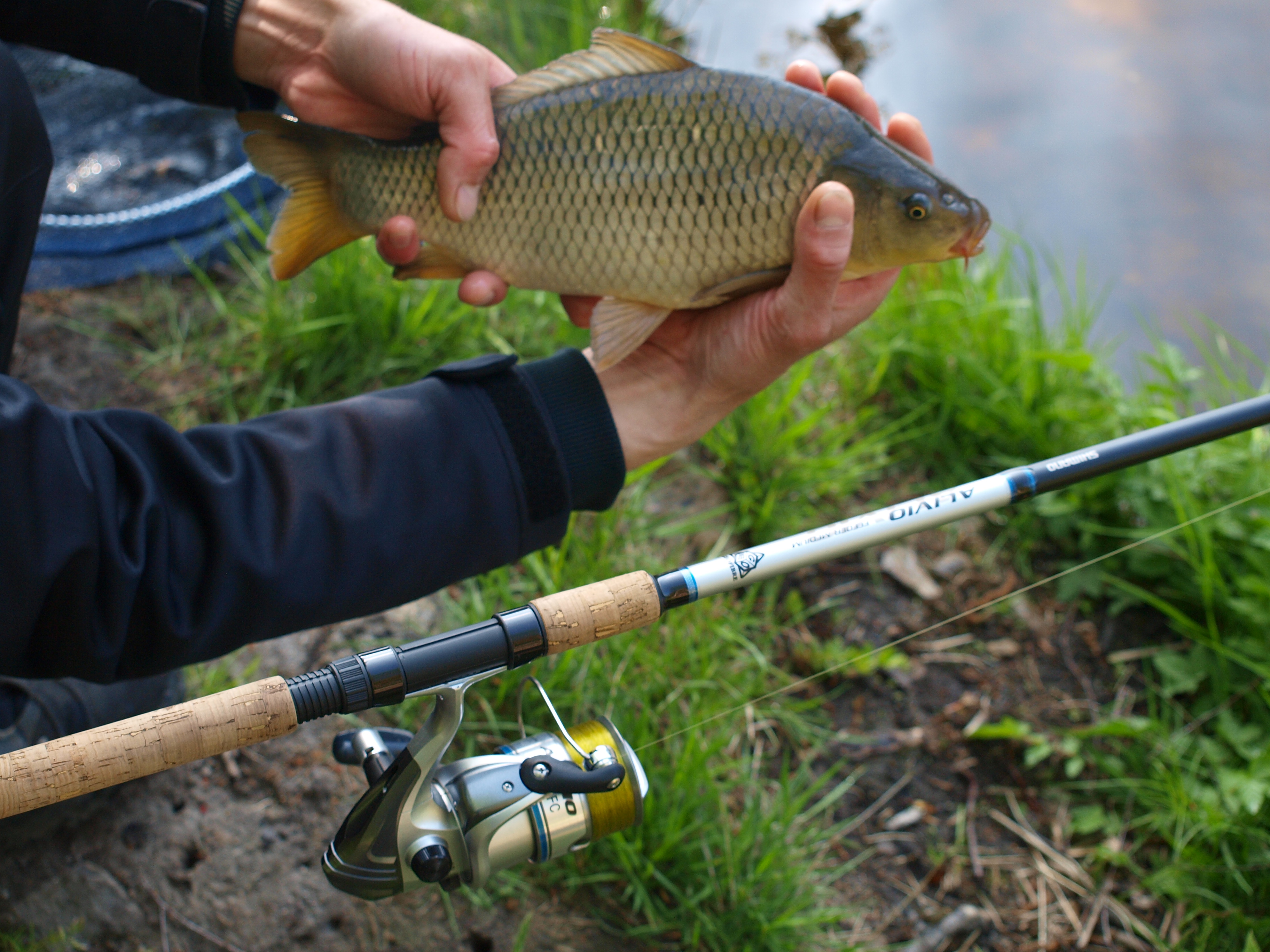 Feeder se SHIMANO + DYNAMITE BAITS a červíčky funguje