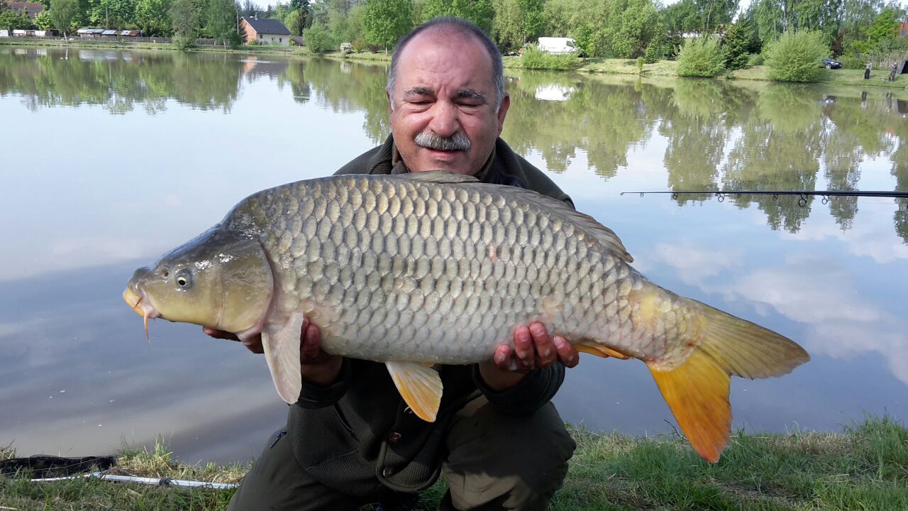 79cm 9,5kg DYNAMITE BAITS