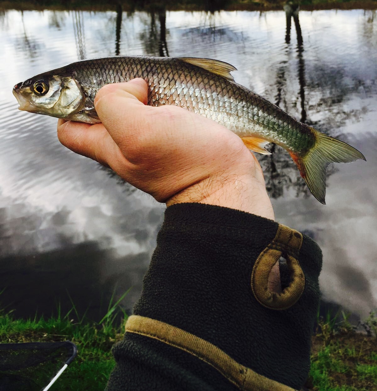 Feeder method s DYNAMITE BAITS 12.4.2016..