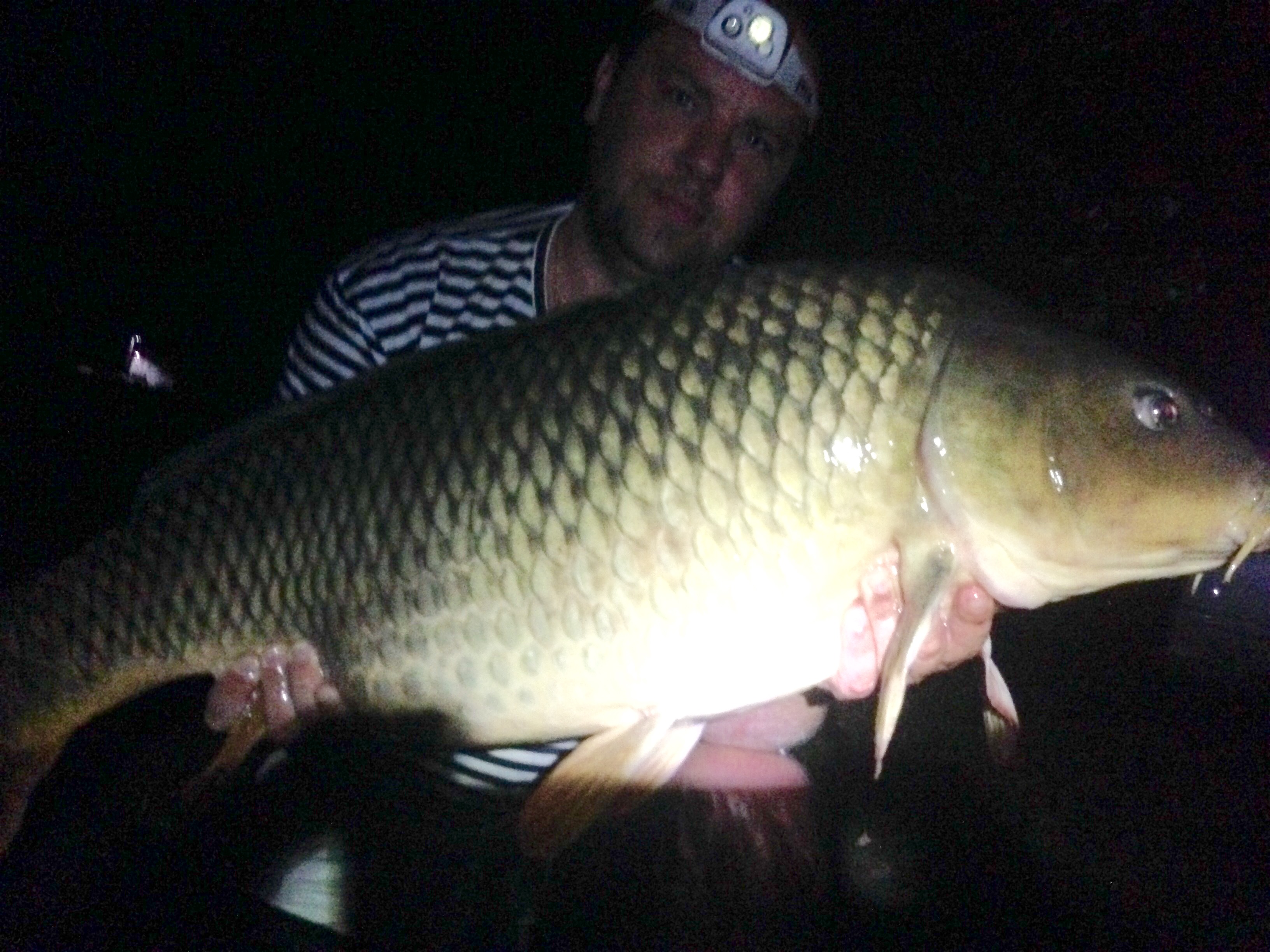 s DYNAMITE BAITS na svazovce 28.8.2016 šupík 95cm 14,8kg