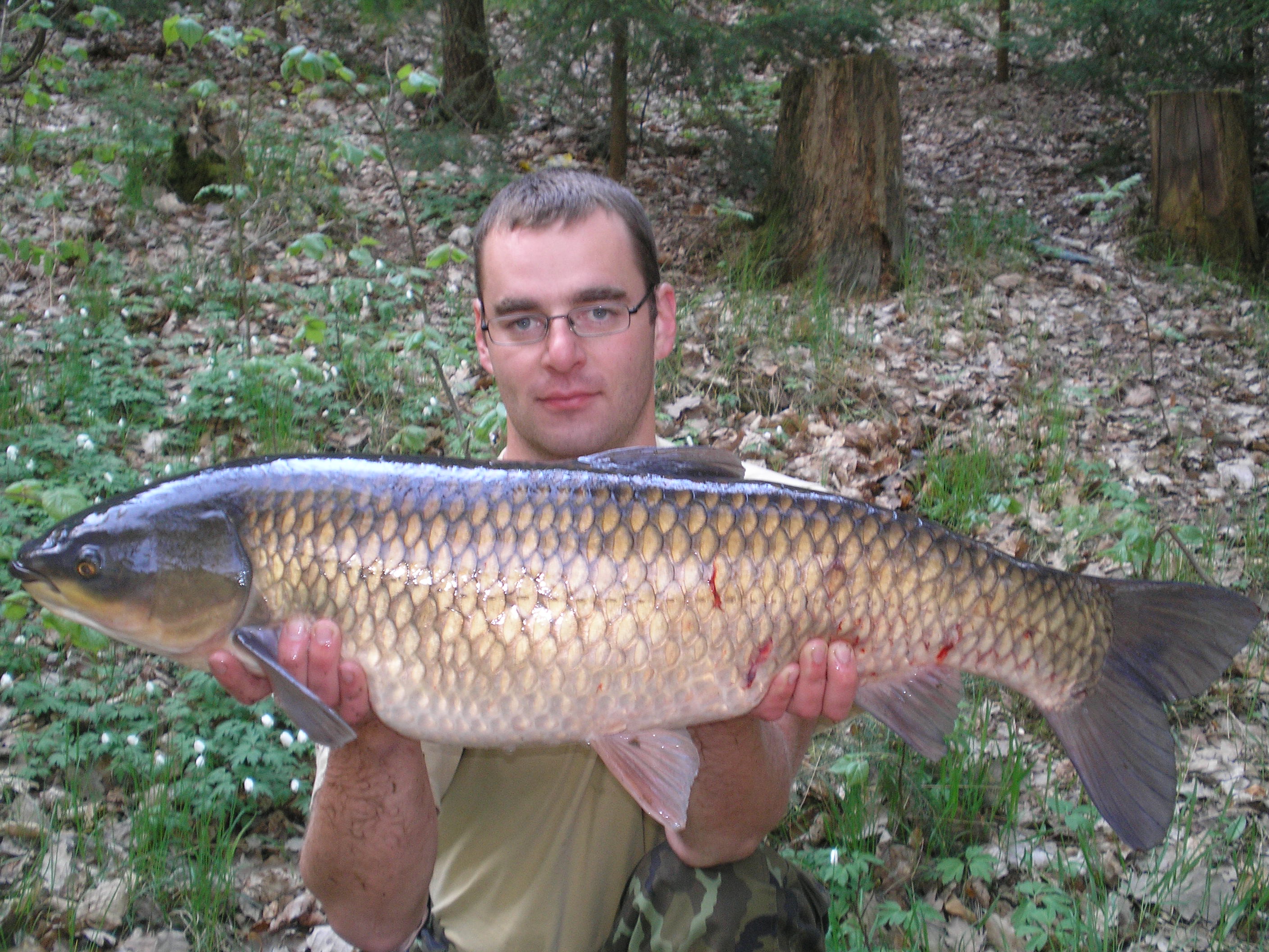 Amur z Březové 92cm