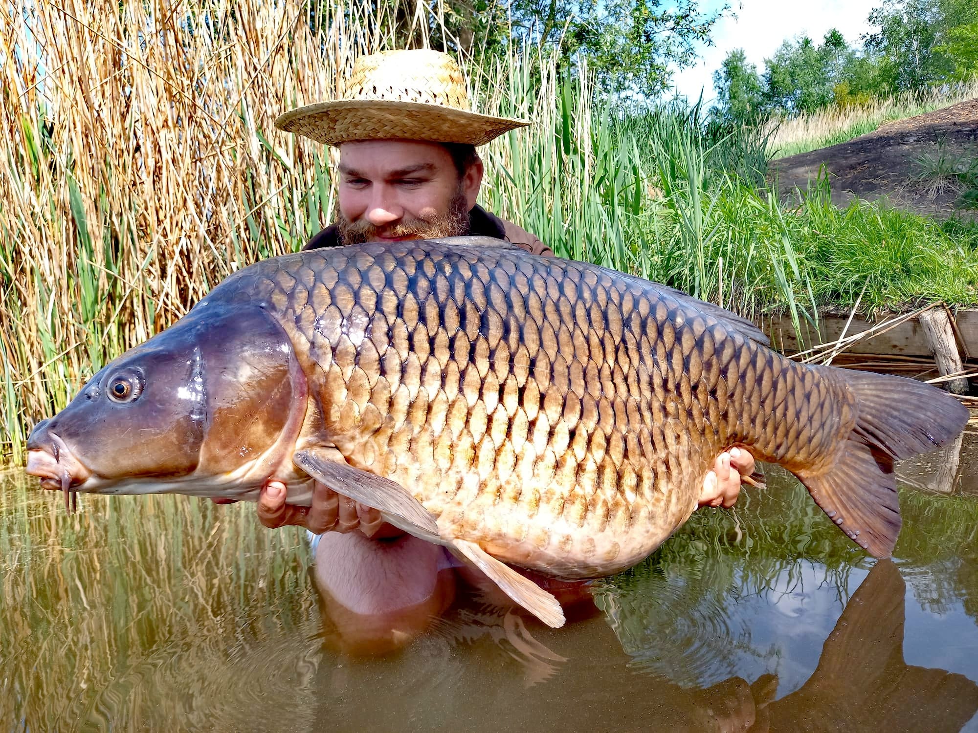 30,73kg nástraha DYNAMITE BAITS