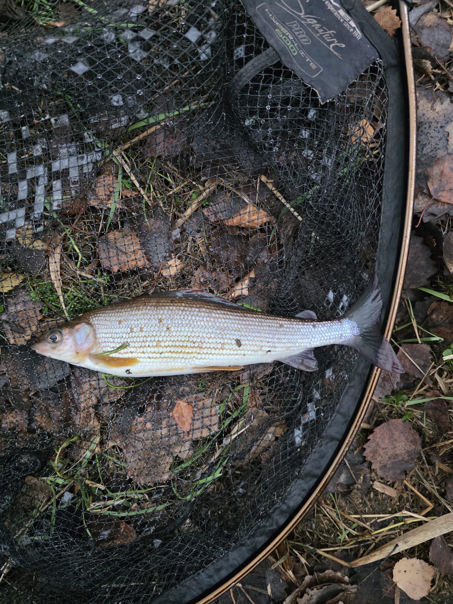 8a7cdc54-9c31-4c87-8a3b-deed283beef7