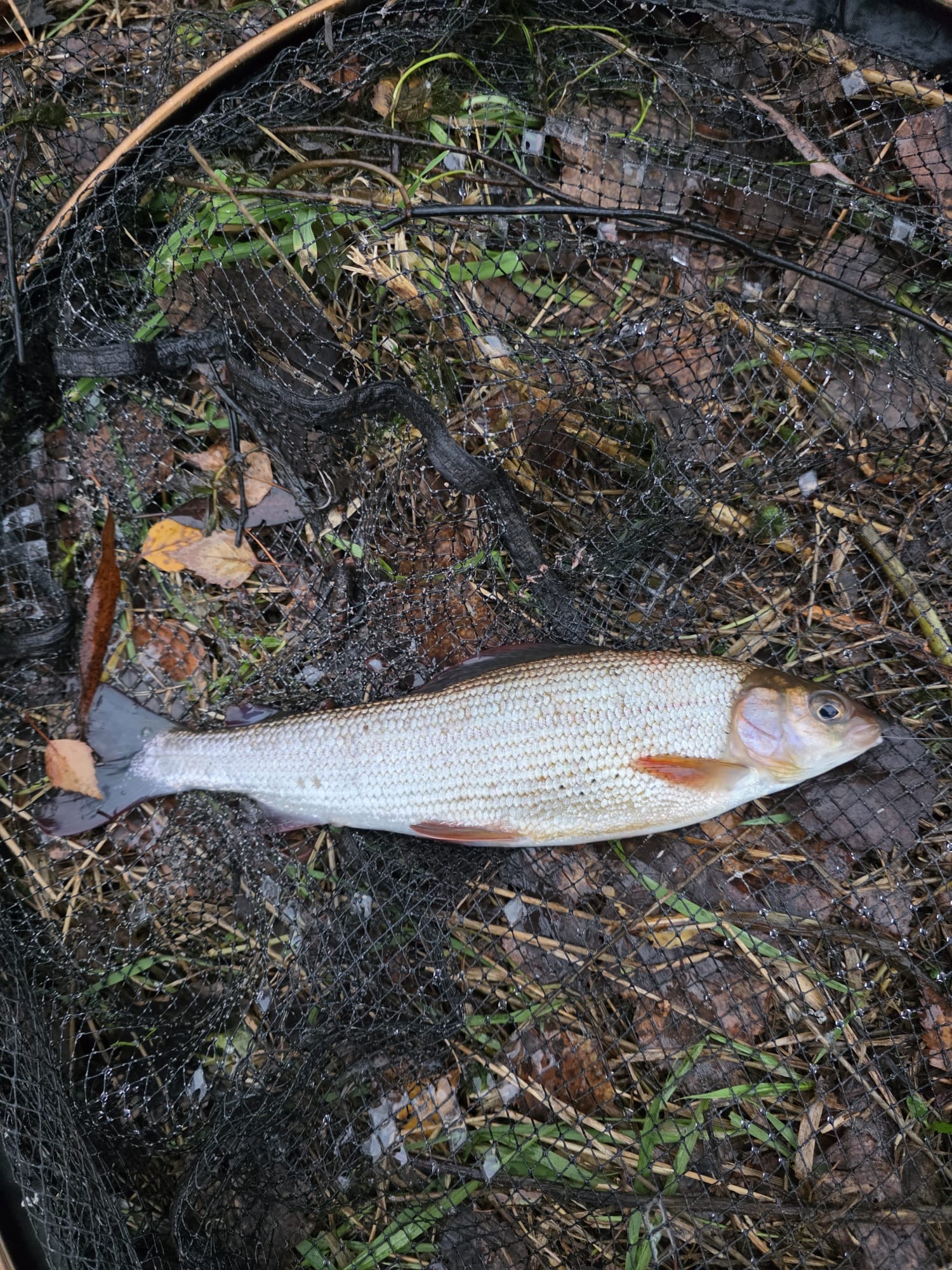 07398e47-3b7f-4c9b-9d3d-bad3dc429cb8