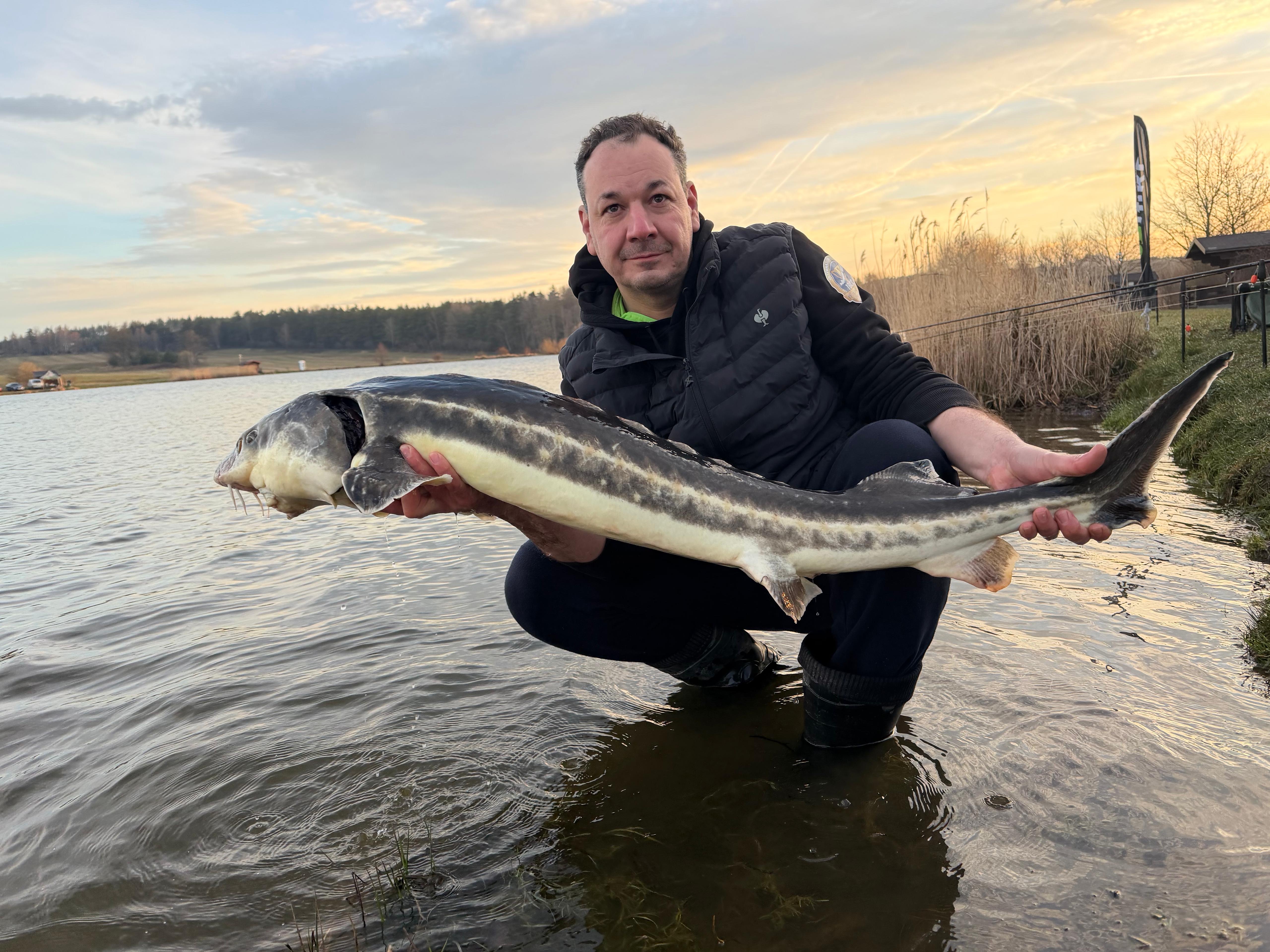 44df83df-f0c9-436b-a935-3661c4bfe579