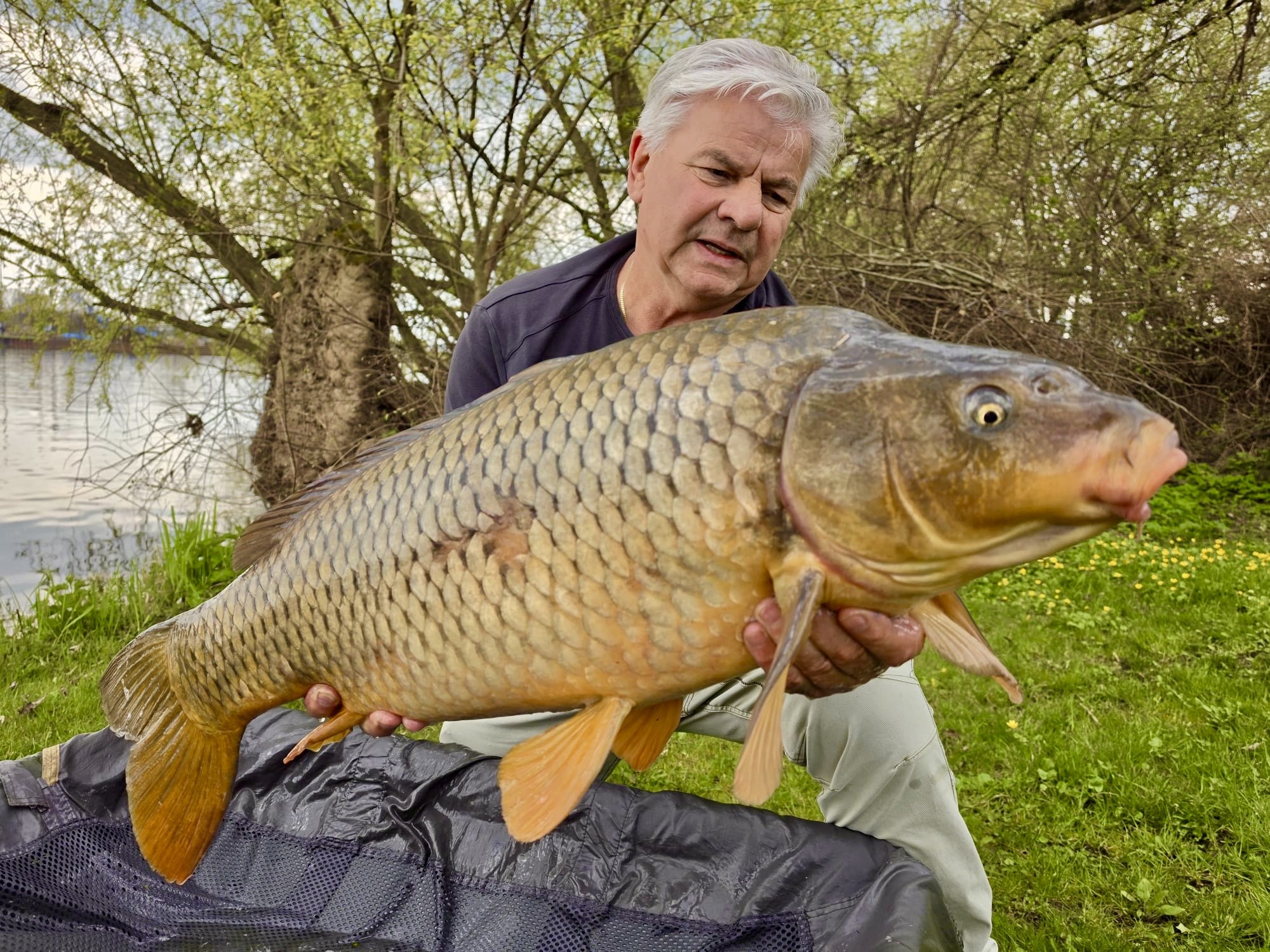 f4f5a22b-8761-4bb4-8afa-9d6947e0e174