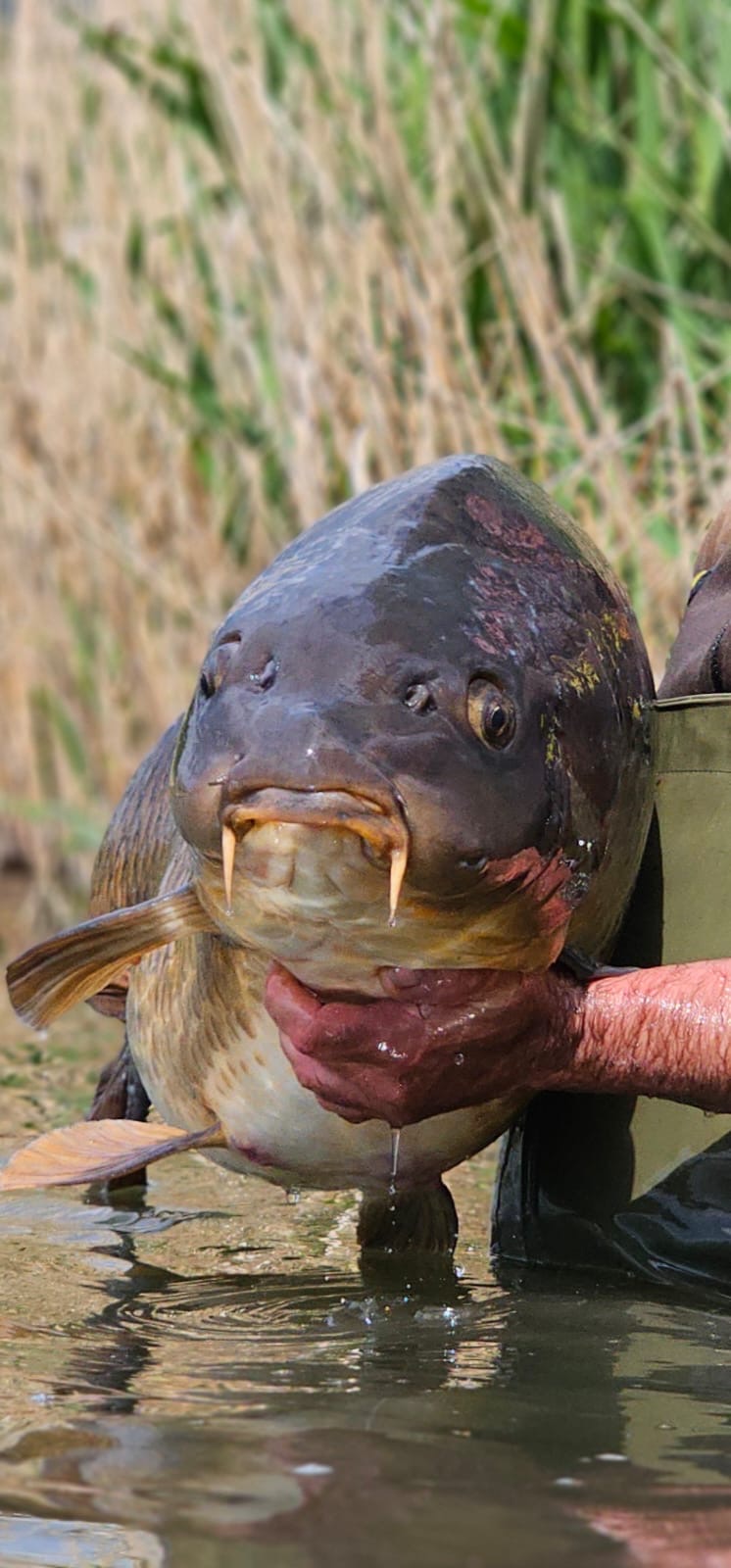 ba7be97c-5a6b-47ab-bb9a-9c7e33121679