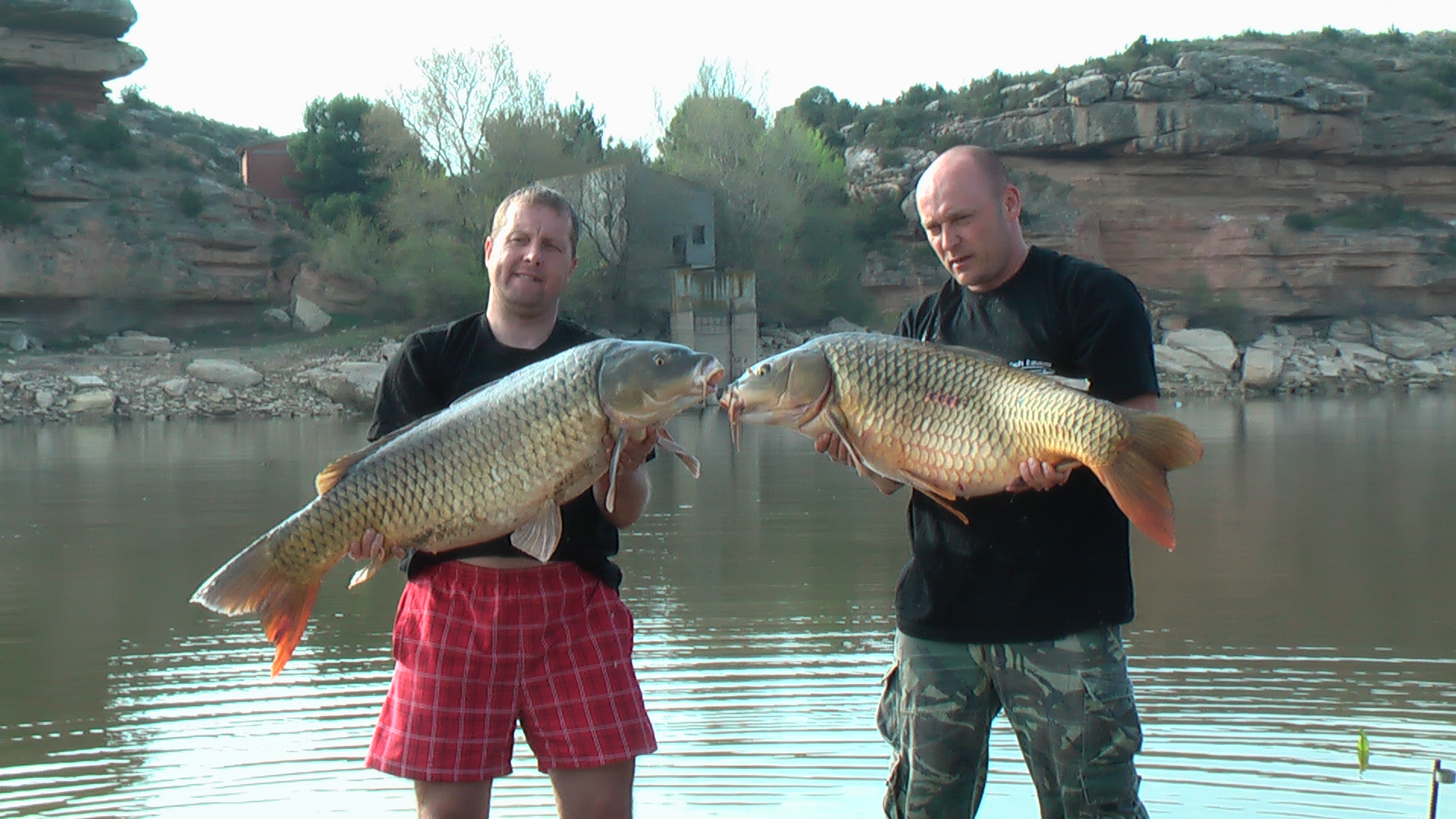 Ebro 2012 (110)