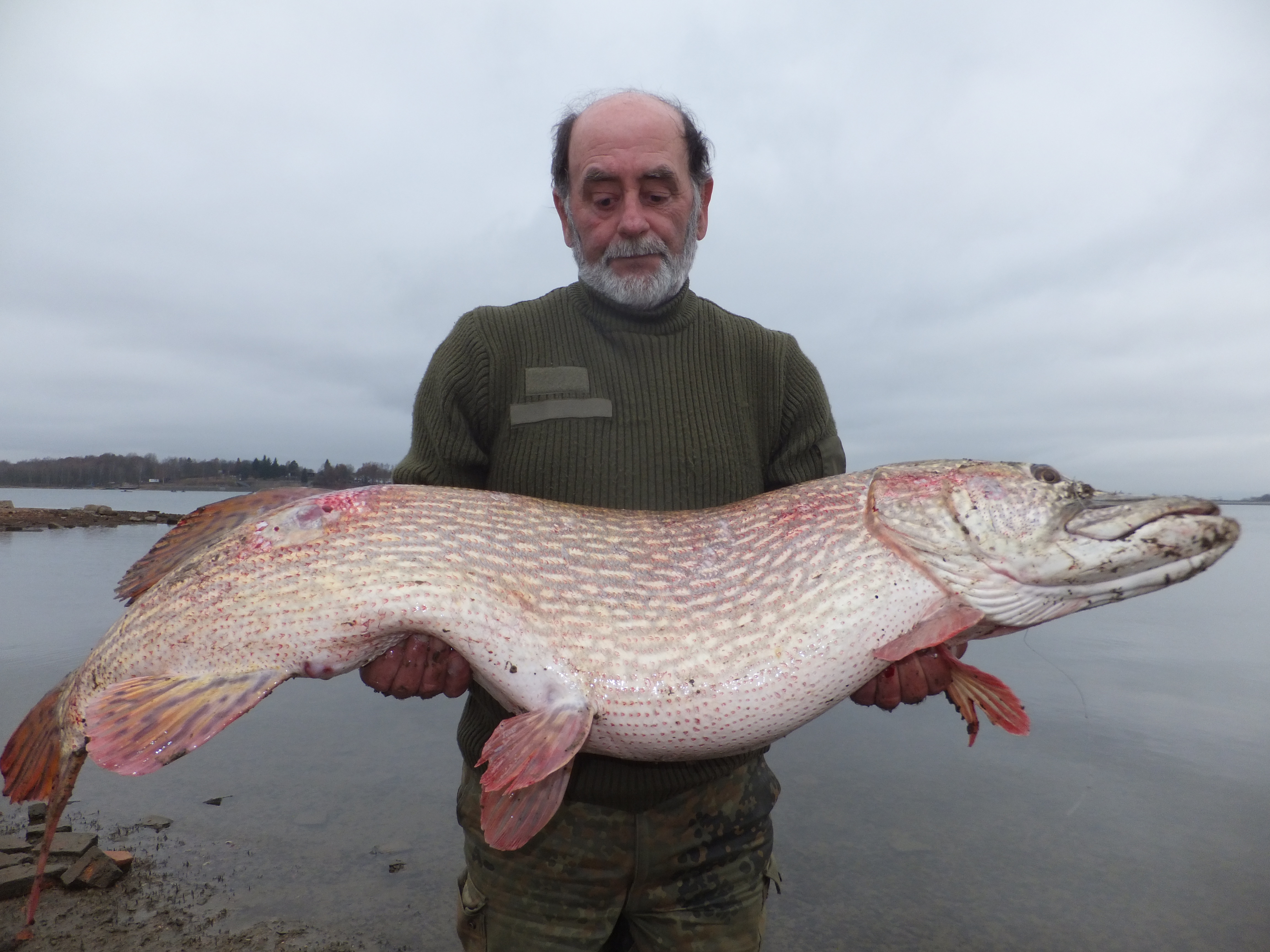 Jesenice 126cm - 19kg