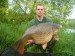 Márovo Labák 87cm 17kg MikBaits GLM Mušle