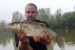 Labe 21.9.2014 Jelec Tloušť 56cm DYNAMITE BAITS