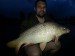 Otis_75cm_svestka_motylek MikBaits