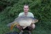 85 cm 15 kg MikBaits