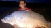 Ryba v soutěži K70 105cm 24,6kg